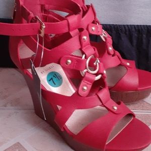 Red wedges